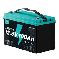EcoBoss 12.8V 100AH LiFePO4 Battery